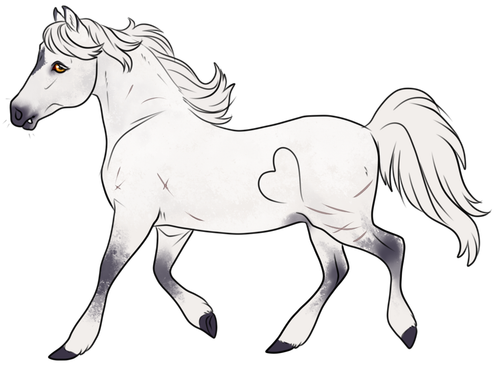 wp beth.png