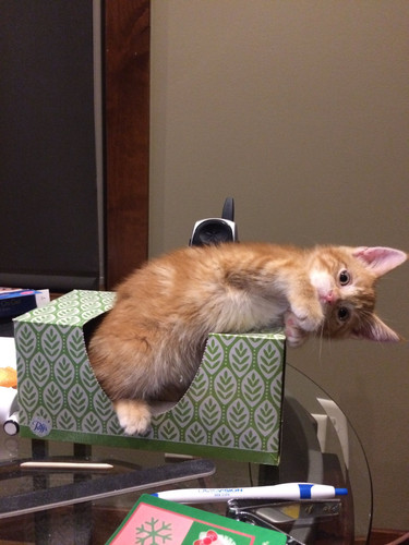 647262021 1928705834700410 2454174696889804754 n.jpg