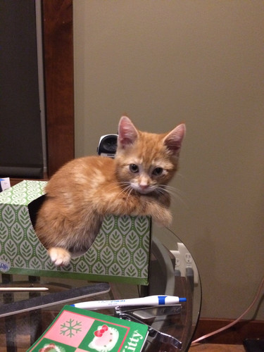 647485256 1928705828033744 4350624058703930694 n.jpg