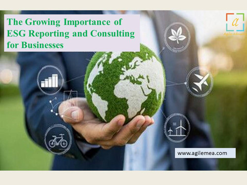 The Growing Importance of ESG Reporting and Consulting for Businesses.jpg