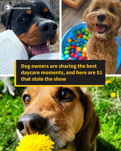 sharing img listams.jpg