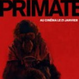 imgPRIMATE