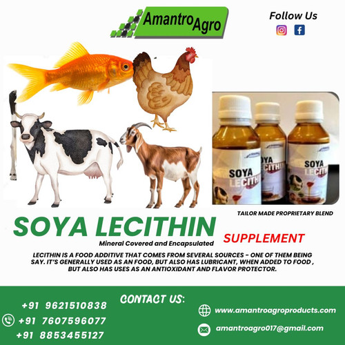 Soya Lecithin is a premium feed ingredient derived from soybean oil,.jpg