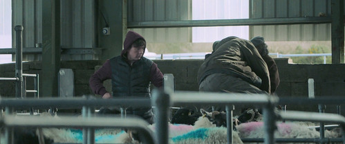 Bring.Them.Down.2024.1080p.BluRay.CZ EN.DTS.5.1.x264 Replica.mkv 20260323 102650.530.jpg