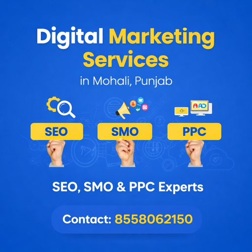 Digital Marketing Services in Mohali, Punjab | SEO, SMO & PPC Experts.png