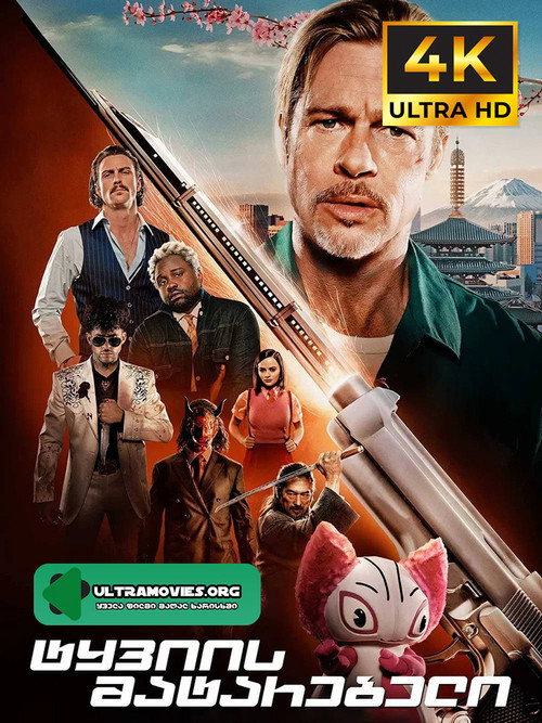 Bullet Train 2022 cover.jpg