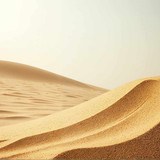 received 1620895255258774