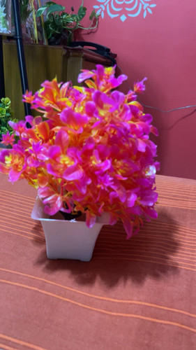 2373de30 0979 48b5 89aa 0fa1c1ee64d3.jpg