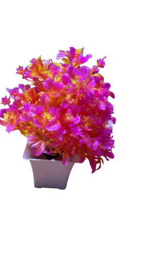 2373de30 0979 48b5 89aa 0fa1c1ee64d3 Photoroom.png