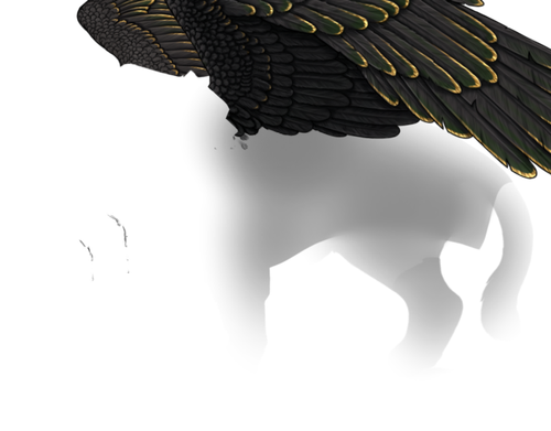 wings.png