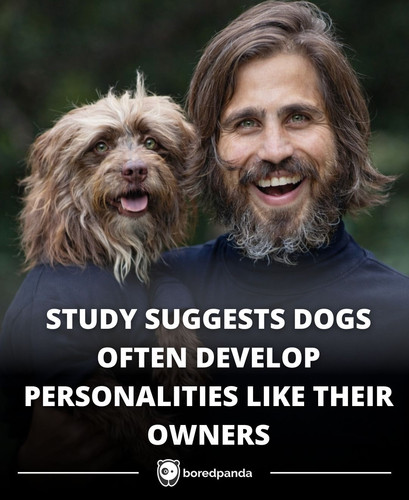 STUDY SUGGESTS DOGS OFTEN DEVELOP PERSONALITIES LIKE THEIR OWNERS.jpg