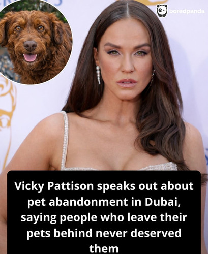 Vicky Pattison speaks out about pet abandonment in Dubai, saying people who leave their pets behind .jpg
