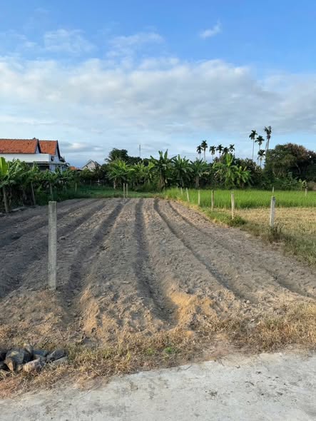 653554096 1375306454359128 7314594072892372832 n.jpg