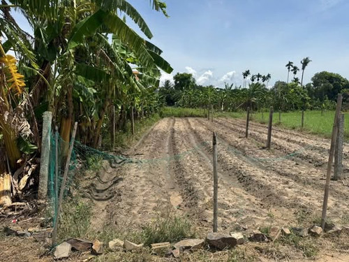 653491265 1375306447692462 6275784598673827036 n.jpg