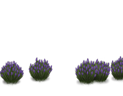 IMG 0122.png