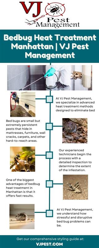 Bedbug Heat Treatment Manhattan VJ Pest Management.jpg