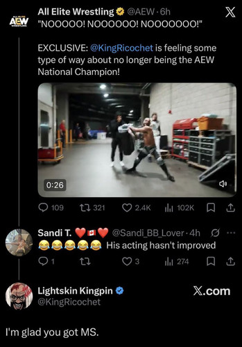 Ricochet In Trouble.jpg