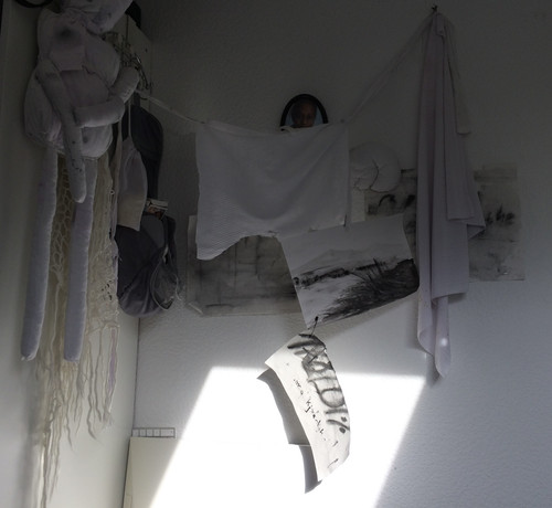IMG 1142.jpg