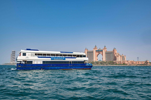 WhatsApp Image 2025 08 11 at 9.38.01 AM.jpg