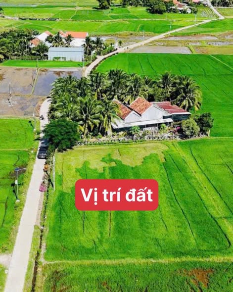 651835758 1997389061131048 8851639684795758766 n.jpg