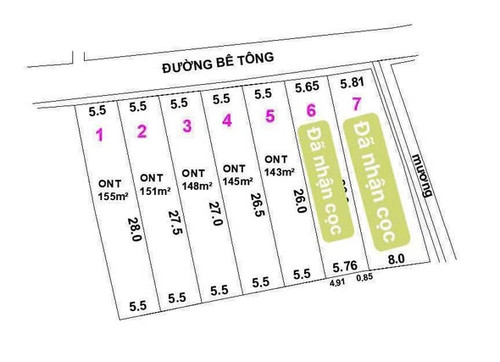 651339472 1997389104464377 60726786156151458 n.jpg