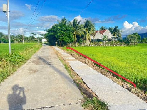 652528742 1997389024464385 4905369108521385751 n.jpg