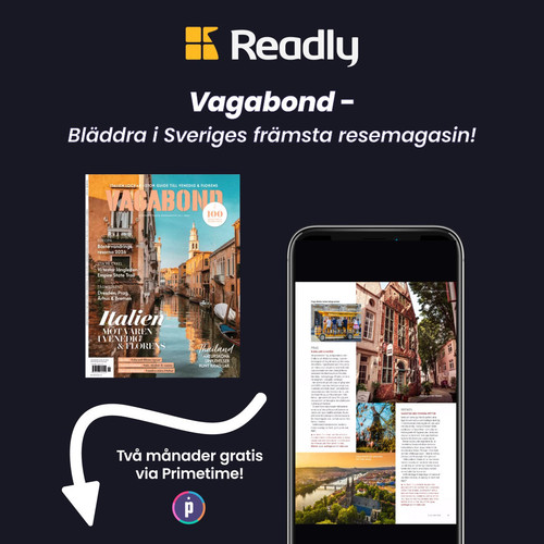 lankis vagabond 00004.jpg