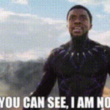 dead black panther.gif