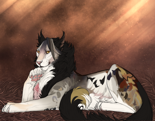 new comm.png