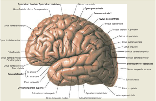 01653c3f119b.png