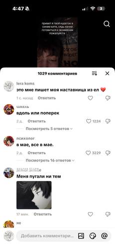 IMG 5310.png