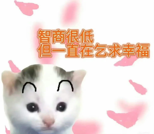 1000041828.png