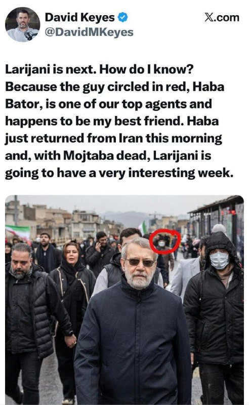 ديفيد كيز المتحدث السابق باسم رئيس الوزراء الإسرائيلي قبل ثلاثة أيام نشر تغريدة مع صورة للأرجواني ومجموعة من مرافقيه، ويظهر في الصورة شخص كان يمشي خلف...