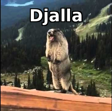 beaver djalla top2 (1).2