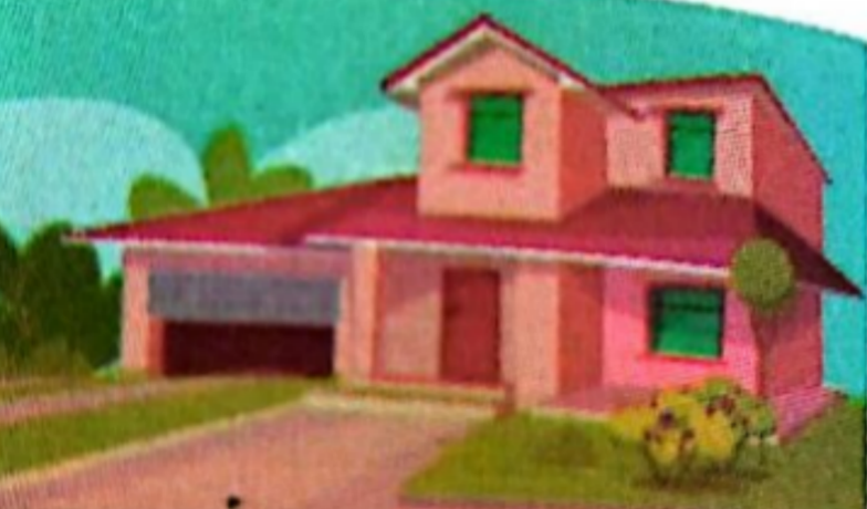 Plot division diagram