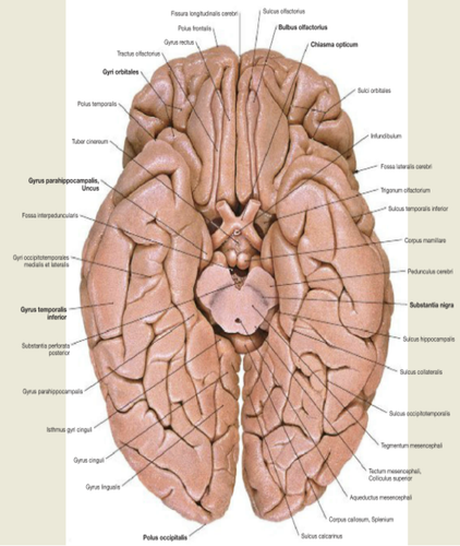 cdc338a1ac74.png