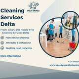 cleaning services delta