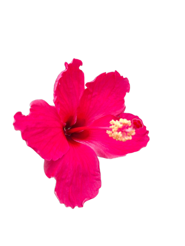 9ed876487d49.png