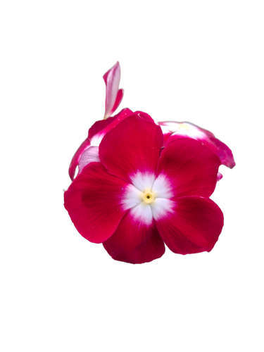 792710f1518f.png