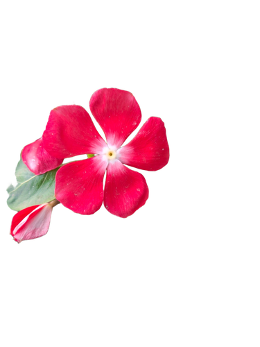 e38a75811d31.png
