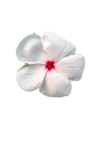 e41df83e7de7.png