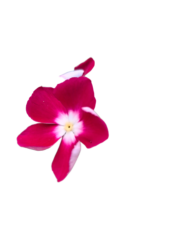3cb8ba94669e.png