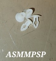 ASMMPSP.jpg