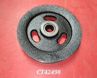 CT42498.jpg
