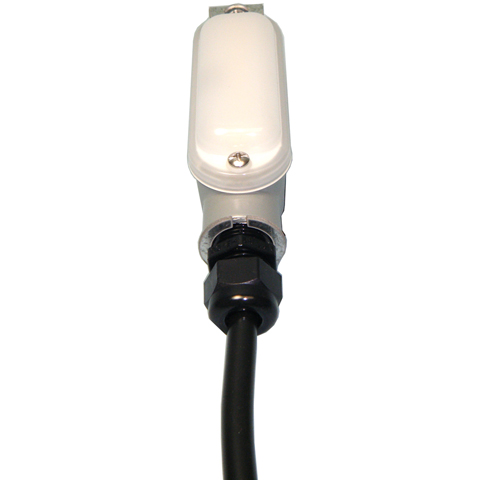 CT55495.jpg
