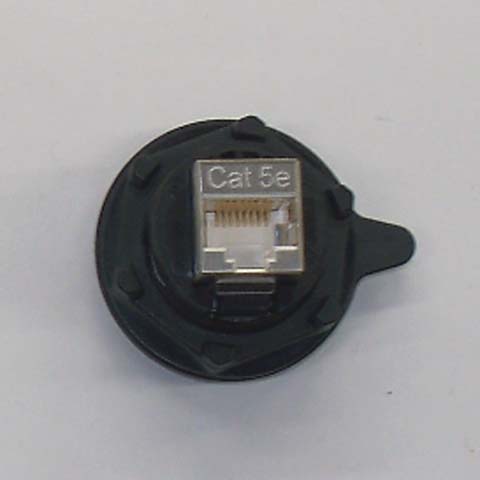 CT55397.jpg