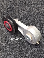 AMT48020.jpg