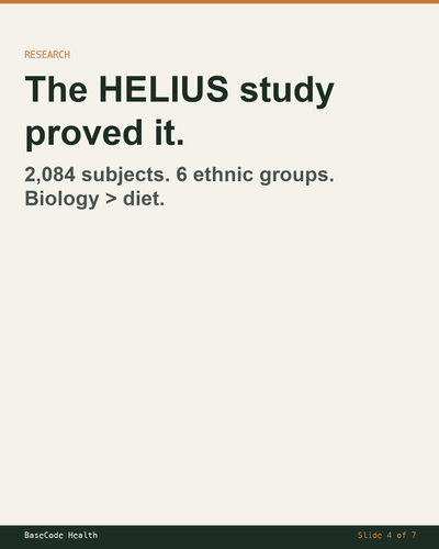 6e271fd353a5.png