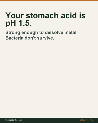 c2836d14bdbd.png