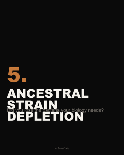 1250c1568a13.png